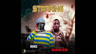 Simz Int ft BloodKid_Starring_Tafwa. official Audio