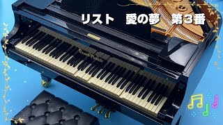 愛の夢 第3番 リスト 【楽器のおもちゃ：グランドピアニスト】 №14