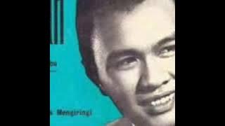 SERULING DI LEMBAH SUNYI(COVER)_ALFIAN
