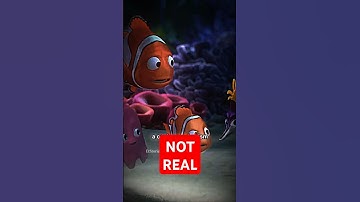 Pixar’s Saddest Secret: Nemo Was Never Real