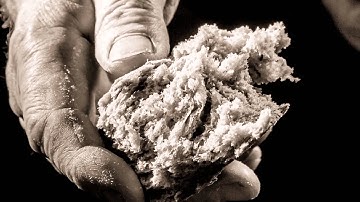 Unity of Believers: What Does This Mean?