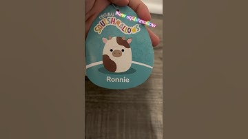 New squishmallow #squishmallows #squishmallowcollection #shorts