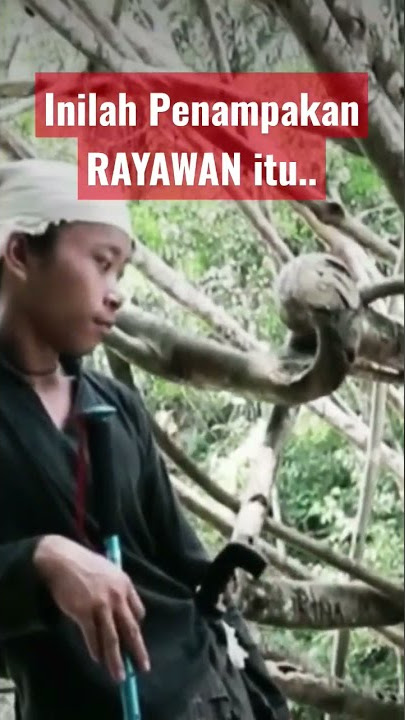 Penampakan Jembatan Rawayan Suku Baduy #sukubaduy #baduyluar #baduydalam