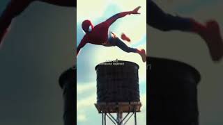 Sunflower Türkçe Çeviri