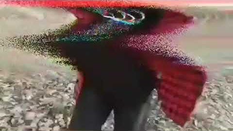 Scarlxrd - lies yxu tell fan video