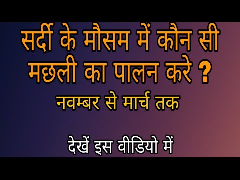 वीडियो: सर्दियों में कौन सी मछली काटती है