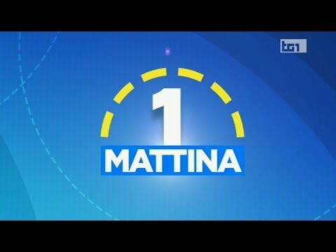 RAI1 UNOMATTINA - Rischi connessi al lavoro del panettiere - (06-12-2003)