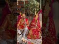 #royalrajput #wedding #culture #banna #baisa #rajput #vibes #reels #music #jaipur #rajasthan #marwar
