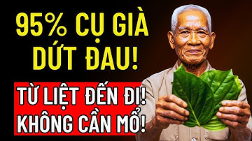 LÁ TRẦU KHÔNG + RƯỢU GẠO: BÍ MẬT SUÝT CHÔN THEO GIÚP 95% CỤ GIÀ DỨT ĐAU CỘT SỐNG!