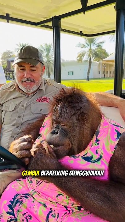 Paman yang Harus Berpisah dengan Hewan-hewan Kesayangannya #animals #shortvideo #shorts #viral