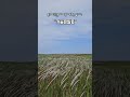 가슴은알죠 나예원 가슴은알죠 나예원