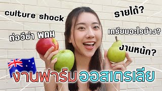 เจาะลึกงานฟาร์มในออส ชั้นมาทำอะไรที่นี่ ?! | Ning Laksanar