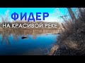 ФИДЕР на РЕКЕ. Красивая весенняя природа. Северский Донец