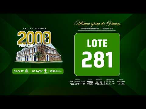 LOTE 281