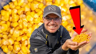 I HATE SWEETCORN FISHING! | Margin Fishing With Corn | The Session