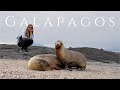 Galapagos islands cruise part 1  best snorkeling in the world