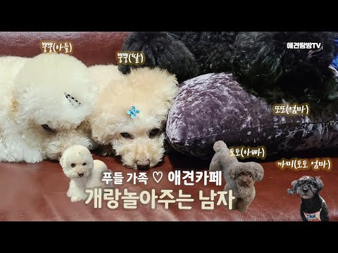 개랑놀아주는남자