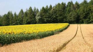 Enya & Enigma - Delerium