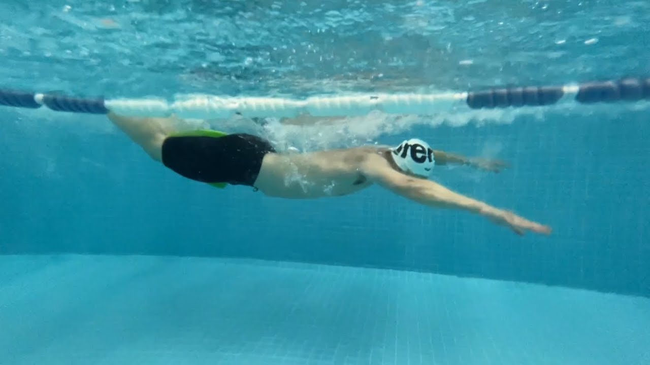 如何游蝶泳#swimmin #swim #swimmingpool #swimmingvideo #游泳 #learnswimming #butterfly #swimmingskills