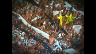 Somos um Só, Somos Botafogo