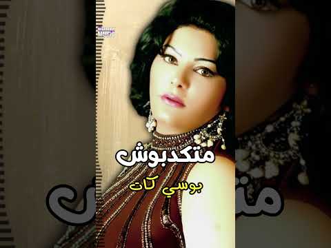 بوسي كات متكدبوش