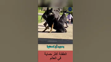 الطفلة أكثر حماية في العالم 