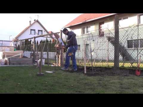 Βίντεο: Mirabelle De Nancy Tree Care – Πώς να καλλιεργήσετε δαμασκηνιές Mirabelle De Nancy
