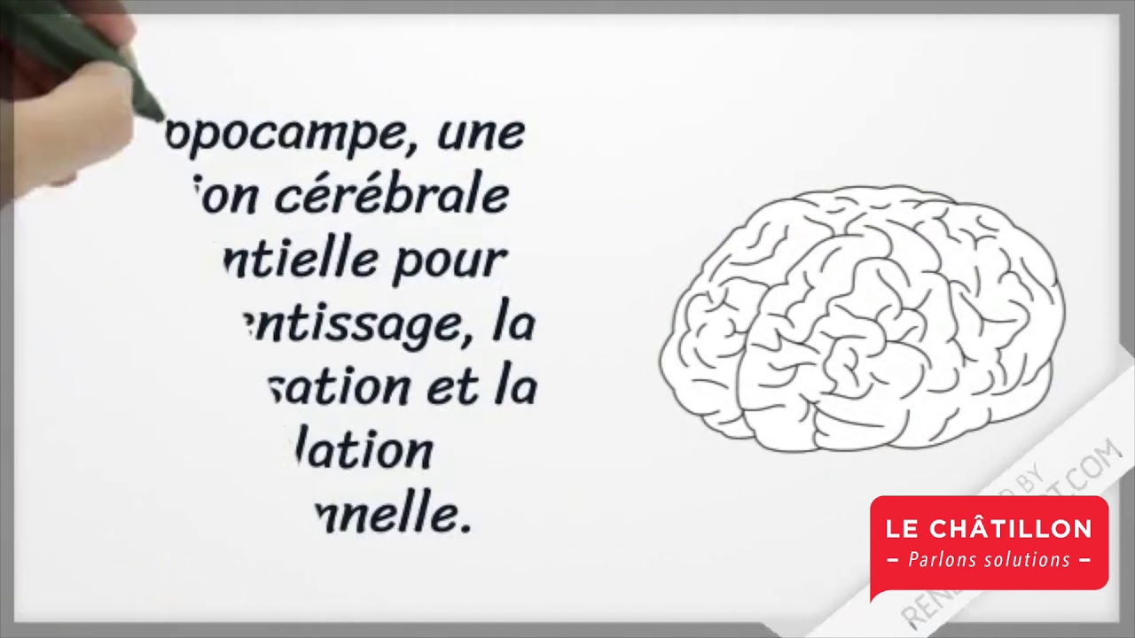 Le rôle des émotions dans l'apprentissage - YouTube