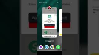 Testing Payrib Withdraw If Its Reel Of Fake