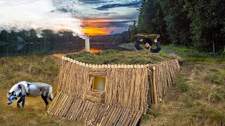 Building a shelter in the wild wolf's den