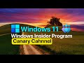 Windows insider canary channel