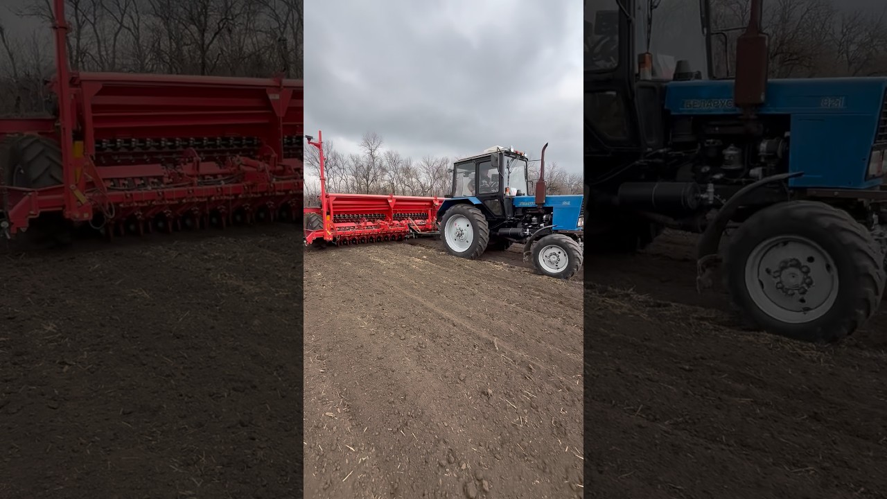 Посевная товарищи! 