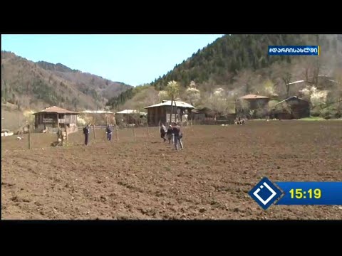 საგაზაფხულო სამუშაოები