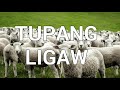 Tupang ligaw  beautiful tagalog christian song