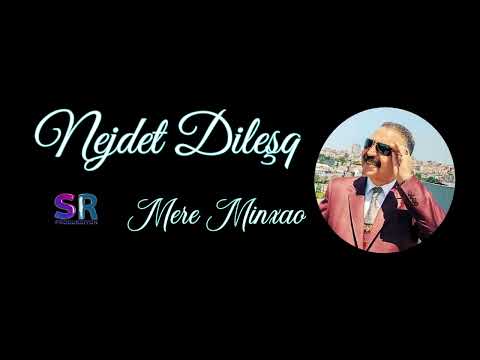 Nejdet Dileşq -