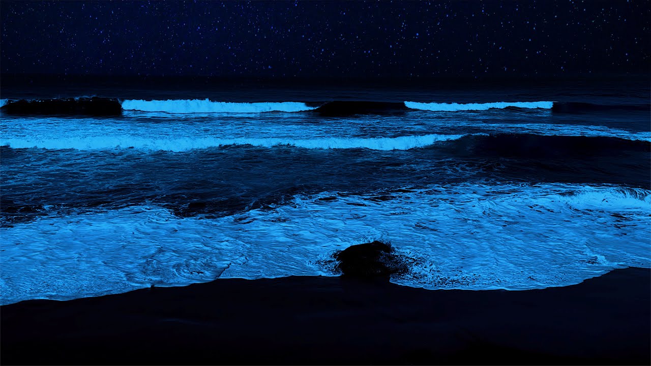 Ocean Waves White Noise A Natural Remedy for Insomnia and Anxiety