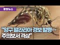 강원도, 양구군에 &#39;말라리아 경보&#39; 발령