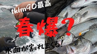 ヒラスズキ Youtube ヒラスズキ Youtube