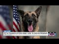 PETA’s founder offers robot dog if Pitt County Sheriff’s Office ends K9 program
