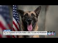 PETA’s founder offers robot dog if Pitt County Sheriff’s Office ends K9 program