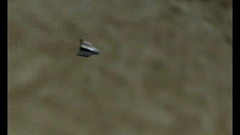 AIE cert 2 Final Animation