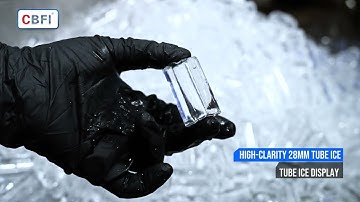🎥 Tube Ice Machine Test Run | 5 Tons per Day | 28mm Ice Cubes by CBFI