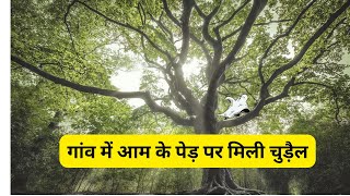 गांव में आम के पेड़ पर मिली चुड़ैल