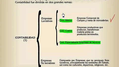 ¿Cuál es la contabilidad privada?