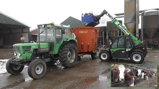 Feeding cattle with DeutzFahr