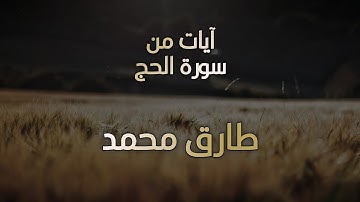 تلاوة رهيبة للقارئ طارق محمد | ما تيسر من سورة "الحج" ❤️😍 | Tareq Mohammad