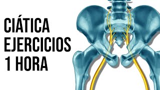 ⚡Rutina de EJERCICIOS de 1 hora PARA LA CIATICA