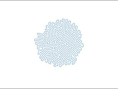 Organic Maze 2