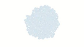 Organic Maze 2