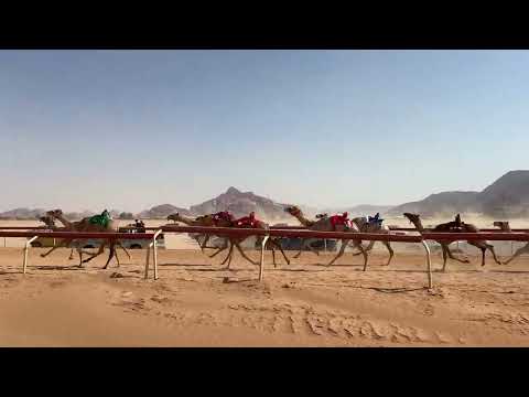 ش٢ قعدان حقايق مياس راشد ضيف الله الزلابيه